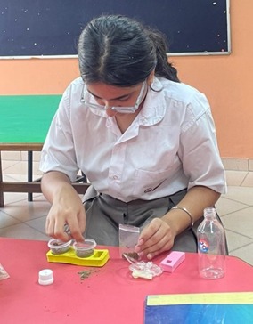 Every Drop Counts: Young Innovators Cultivate Change with Drip Irrigation Magic!